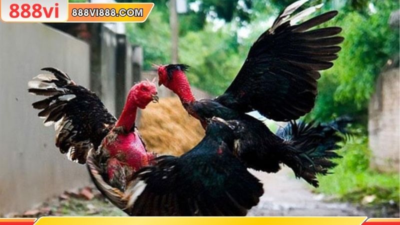 Đặc điểm được các chuyên gia đánh giá cao